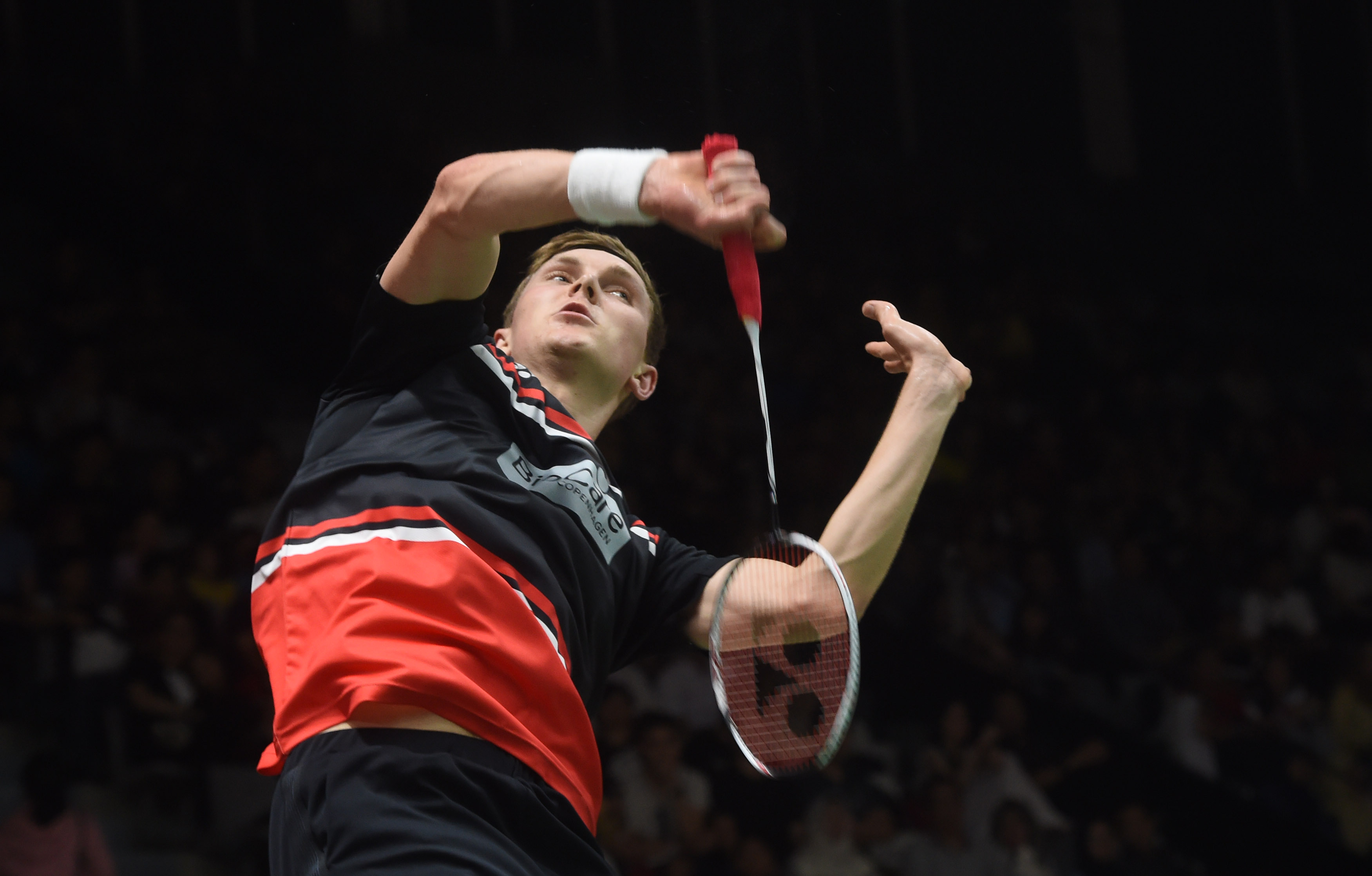 走在金色的 走在金色的