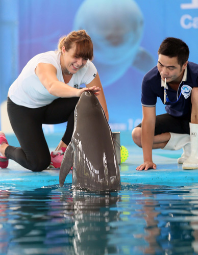 胜守前8 胜守前8